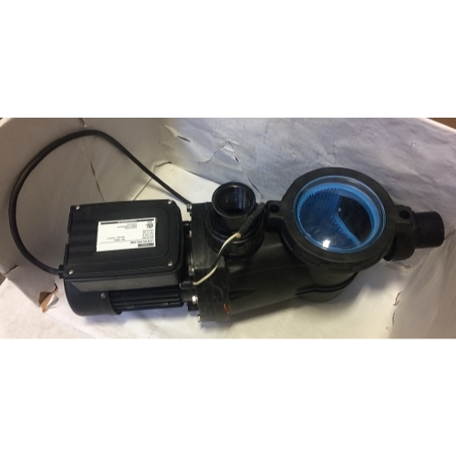 Everbilt EB1100DP 1 HP 230/115V InGround Swimming Pool Pump eBay