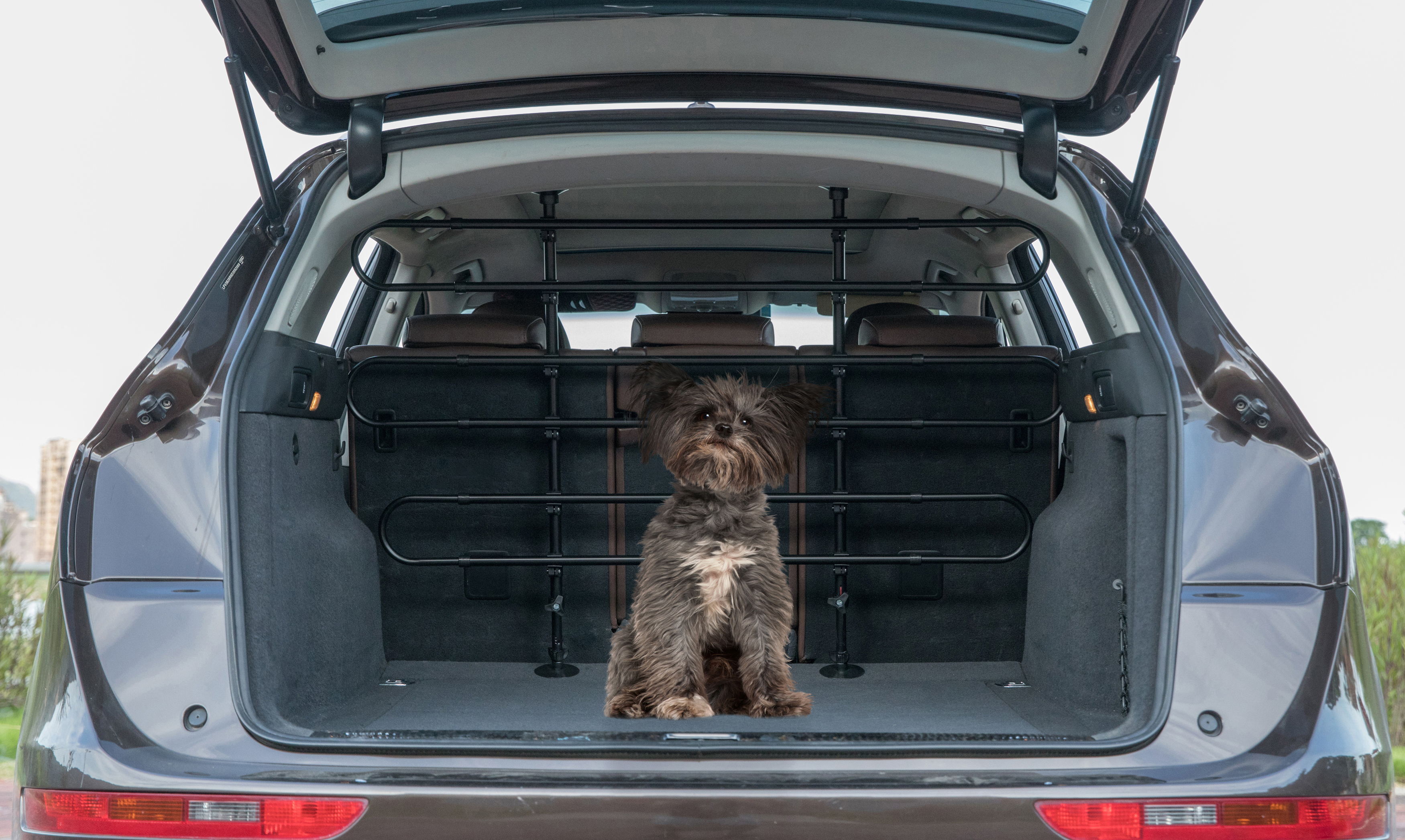 Black Adjustable Pet Barrier for Vehicle Car Divider